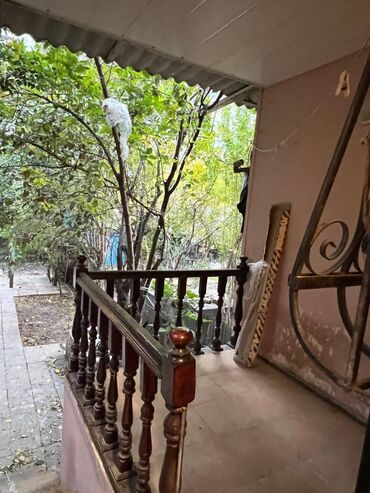 Uzunmüddətli kirayə mənzillər: Həzi Aslanov metrosuna 4 deq mesafədə yerlesən 5 mərtəbənin,1- ci — 9