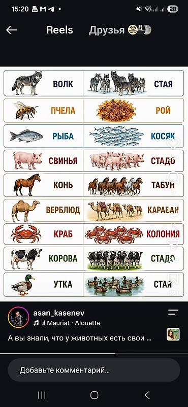 тент крыша: Тепличные каркасы советские - Арочные секции для сборки теплицы на — 2