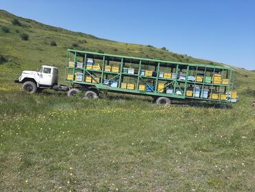 Digər kənd təssərüfat avadanlığı: Köçəri arıçılıq üçün komplekt trailer-karavanlar və avadanlıqlar - Üç — 4