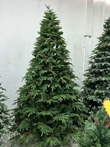 Yeni il ağacları: Məhsul: Yeni il şam ağacı koleksiyası 120 sm -70 man • 150 sm-100man — 2