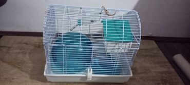 Rodents: Kavez za hrčka sa dodatnom opremom