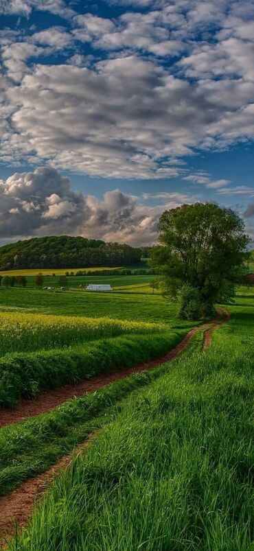 надомница дордой: Эколог. Инженер-эколог. Специалист по охране окружающей среды