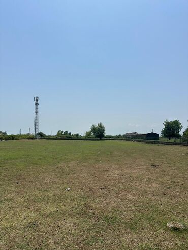 Torpaq sahələrinin satışı: Kənd təsərrüfatı -da lalafo.az — 1 Torpaq sahələrinin satışı: Kənd təsərrüfatı — 1