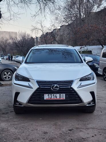 Lexus: Lexus NX: 2020 г., 2 л, Автомат, Бензин, Кроссовер