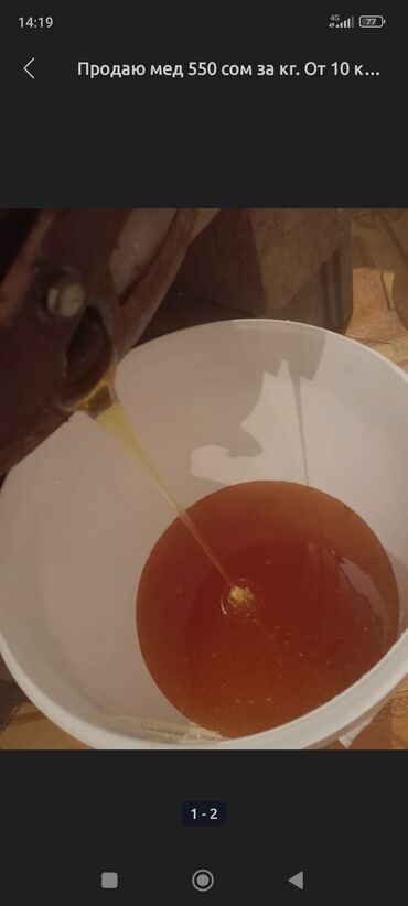 творожный сыр креметте цена бишкек: Натуральный горный мед из Суу Самыр района. Характеристики: - 100%