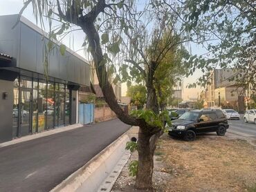 аренда помещения для кофейни: 🏪 Сдается. коммерческое помещение ✅площадью 180 м² с панорамными