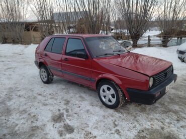 Volkswagen: Volkswagen Golf: 1991 г., 1.8 л, Механика, Бензин, Кроссовер