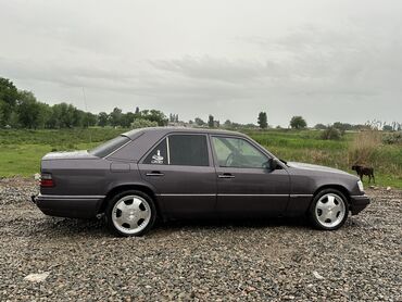 туфли лодочки очень красивые: Mercedes-Benz W124: 1994 г., 2.3 л, Механика, Дизель, Седан