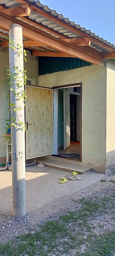 Продажа магазинов: Продаётся дом с действующим магазином.находится в селе вознесеновка,ул — 7