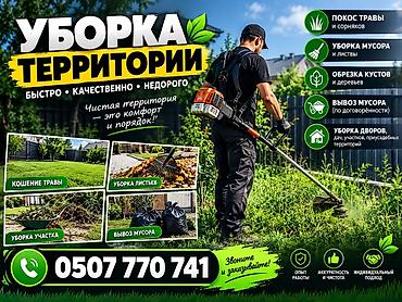 пасат б2: Уборка территории, Уборка двора и сада — 1
