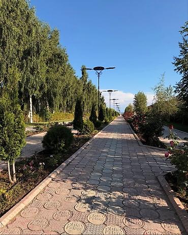royal resort: Аренда квартиры на Иссык-Куле, Asia Palace, Сары-Ой, 7 мест, Цена Целиком за жилье — 9
