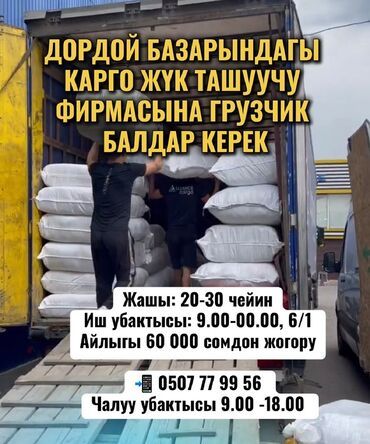 работа на рынке дордой: Грузчик. Дордой рынок / базар