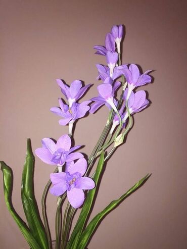 цветок мухаловка: Цветок декоративный Нарцисс сиреневый, высота ветки 95 см