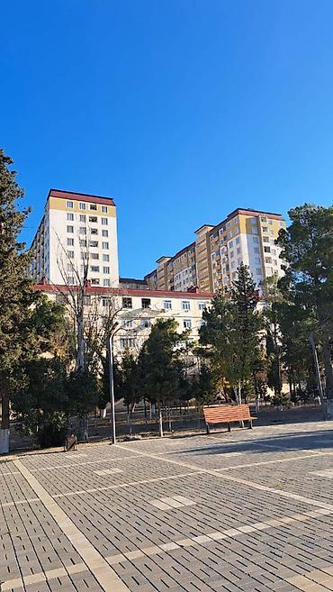 yevlax emlak: 2 otaqlı, Yeni tikili, 42 kv. m — 3
