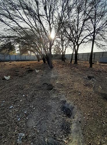 Продажа участков: 32 соток, Красная книга at lalafo.kg — 12 Продажа участков: 32 соток, Красная книга — 12