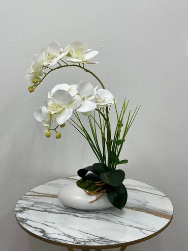 украшения для дома: Жогорку сорттогу PU колу-сезимин нымдаштыруучу Phalaenopsis