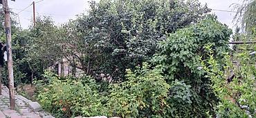 xizi: 20 sot, Mülkiyyətçi — 1