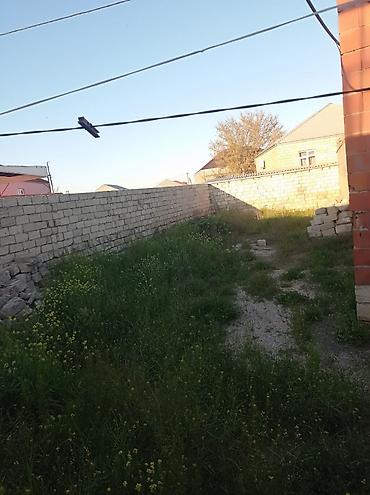 ev və bağ: Hövzəi-Məscid tərəfi, hasarlı həyəti olan kiçik həyət evi - Torpaq — 2