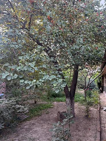 Продажа коттеджей и домов: Фуркаттан 3 комната времянкасы менен 6 сотых жер уй сатылат гараж — 12