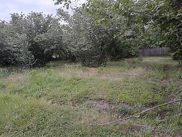 blue city ev satilir: 18 sot, Tikinti, Mülkiyyətçi, Bələdiyyə, Texniki pasport — 4