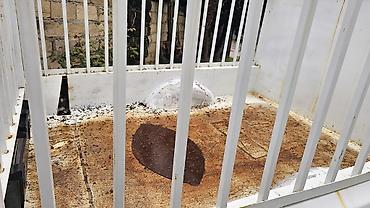 QAZ: QAZ 3110: 2.4 l | 1998 il Sedan — 12