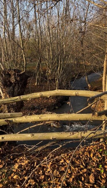 Torpaq sahələrinin satışı: Qəbələ rayonunun Soltannuxa kəndində magistral yolun düz kənarında — 10