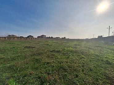 kupça: 200 sot, Tikinti, Mülkiyyətçi, Kupça (Çıxarış) — 1