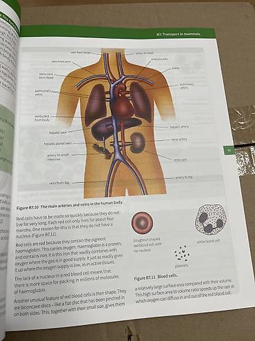 cd disk: Учебник Co-Ordinated Sciences IGCSE Английский язык, включает в себя — 3