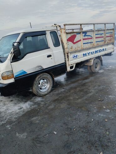 аксессуары на степ: Hyundai Porter: 1996 г., 2.5 л, Механика, Дизель, Пикап