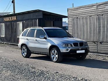 рейлинг соната: BMW X5: 2005 г., 3 л, Автомат, Дизель, Кроссовер — 1