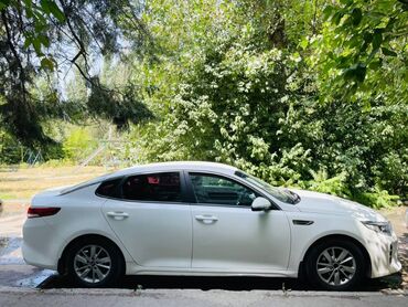 камаро шевроле: Kia K5: 2017 г., 2 л, Автомат, Газ, Седан