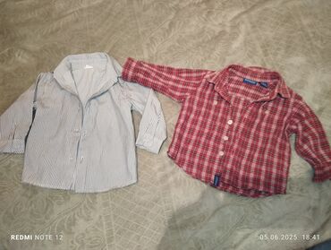 Kurtkalar: Her biri tezekimidi təcil satılır ucuz qiymətə maksimum 5 ədəd alana — 8