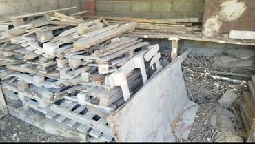 Дрова: Дрова Платная доставка, Самовывоз at lalafo.kg Дрова: Дрова Платная доставка, Самовывоз