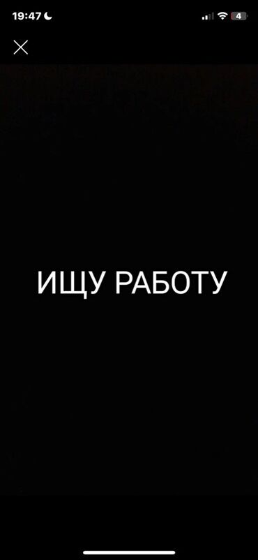 поиск удаленной работы без опыта: Услуга: соискатель ищет работу мне 17 лет Кратко о предложении: -