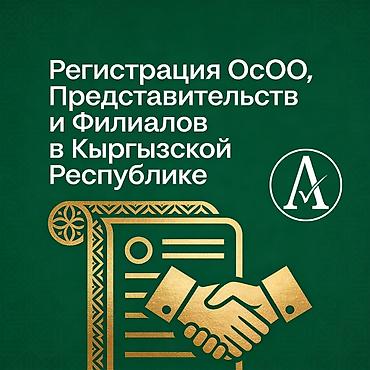 305: Юридические услуги | Трудовое право, Финансовое право | Консультация, Аутсорсинг — 1