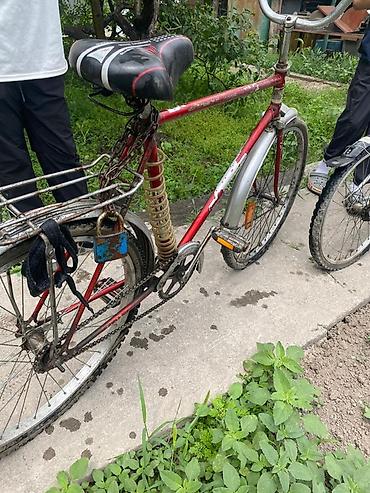 rant flex: Велосипеды детские и подростковые оптом в розницу нету в хорошем — 8