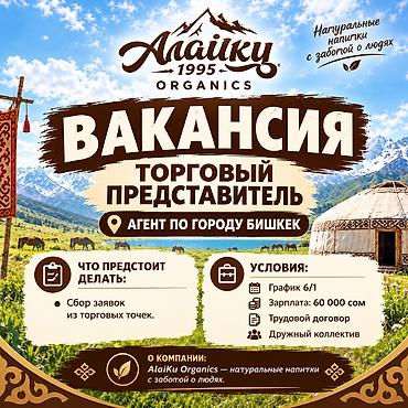 Требуется Торговый агент, График: Шестидневка, 1-2 года опыта, Официальное трудоустройство, Полный рабочий день