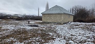 Həyət evləri və villaların satışı: Torpaq sahəsi və həyət evi 12 sot torpaq şəki şəhəri, kudurlu kendi — 3