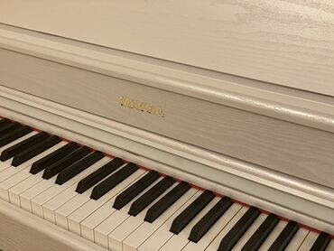 mayga piano: Piano, Mayga, Rəqəmsal, İşlənmiş, Ünvandan götürmə