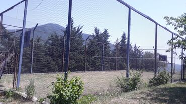 Bağ evlərinin kirayəsi: 200 kv. m, 5 otaqlı, Hovuzlu, Telefon, İnternet, İşıq -da lalafo.az — 7 Bağ evlərinin kirayəsi: 200 kv. m, 5 otaqlı, Hovuzlu, Telefon, İnternet, İşıq — 7