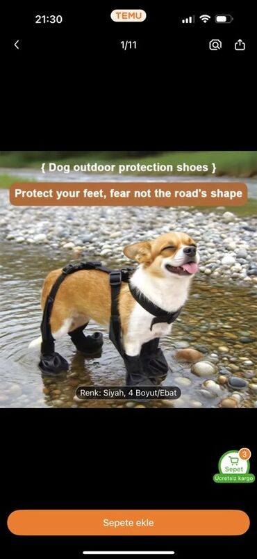 возьму собаку в хорошие руки: Məhsul: İt üçün açıq hava qoruyucu ayaqqabılar və həmçinin bədənə lalafo.az -da возьму собаку в хорошие руки: Məhsul: İt üçün açıq hava qoruyucu ayaqqabılar və həmçinin bədənə