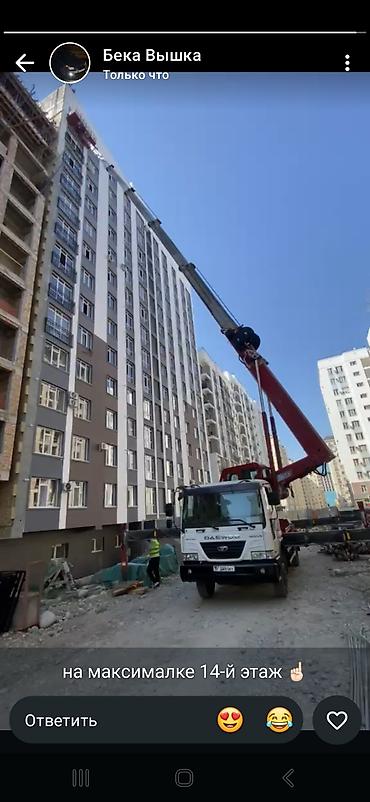 Автоуслуги: Стрела 27 м, 300 т — 5