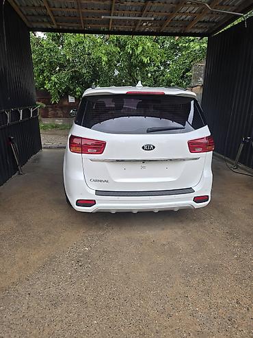 Kia: Kia Carnival: 2019 г., Минивэн — 15
