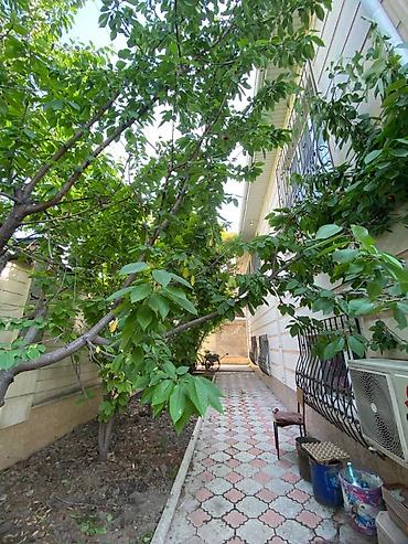 Продажа домов: Дом, 287 м², 8 комнат, Собственник, Евроремонт — 14