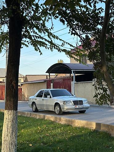 зеркала демио: Mercedes-Benz E-Class: 1993 г., 3.2 л, Автомат, Бензин, Седан — 5