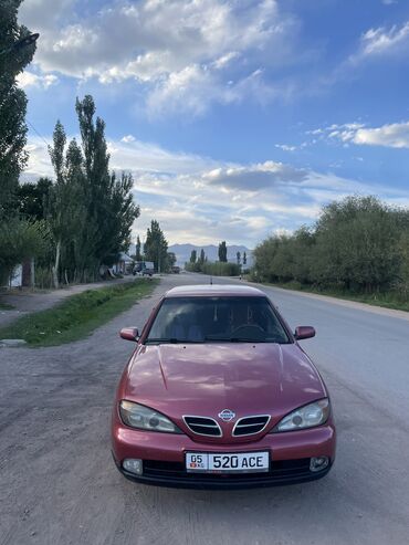 продажа nissan primera: Nissan Primera: 2000 г., 1.6 л, Механика, Бензин, Седан