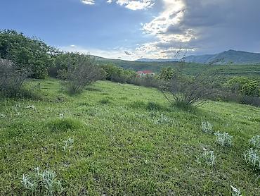 Torpaq sahələrinin satışı: 23 sot, Tikinti, Kupça (Çıxarış) — 14