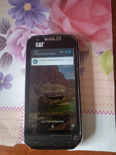 телефон флай смартфон: Caterpillar Cat S40, цвет - Черный, 2 SIM