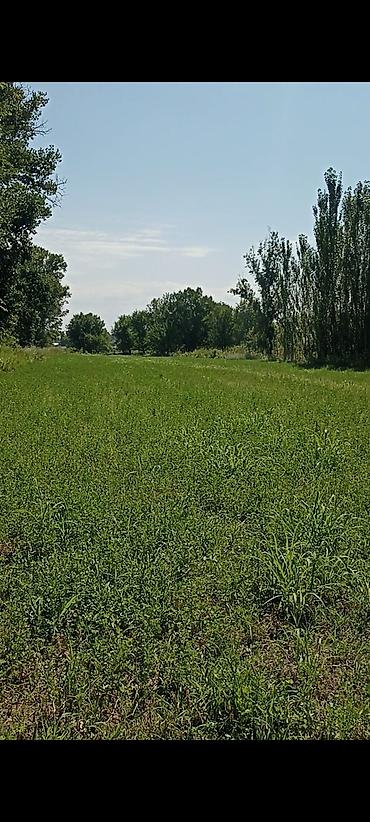 Продажа участков: 4500 соток — 15