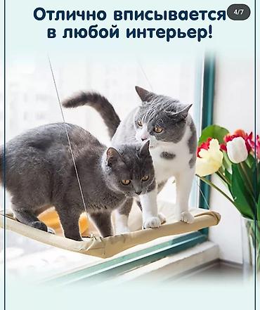 Зоотовары: Гамак для кошек на присосках - Крепится к окну на мощные вакуумные — 3
